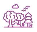 3-Acre Urban Forest & Trails