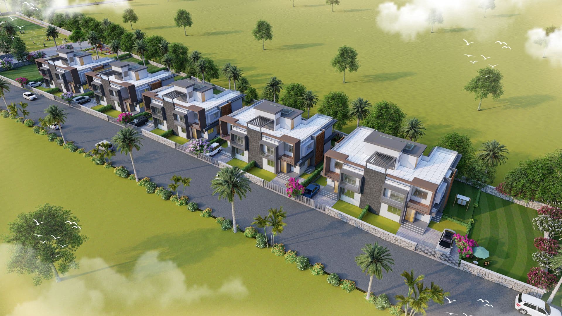 Project Overview